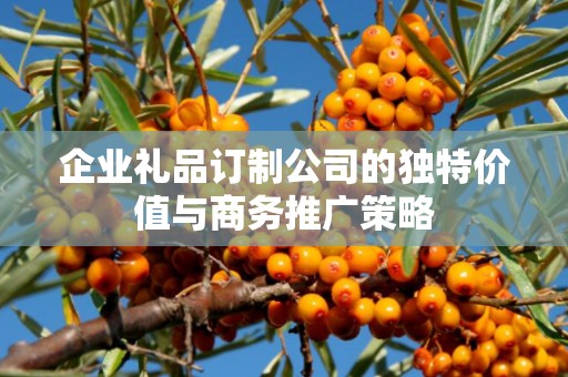 企业礼品订制公司的独特价值与商务推广策略