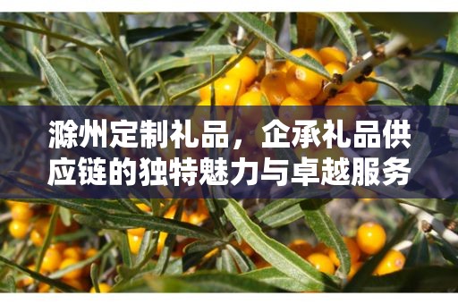 滁州定制礼品，企承礼品供应链的独特魅力与卓越服务