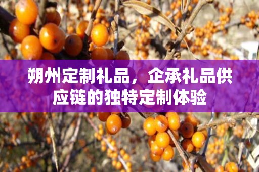 朔州定制礼品，企承礼品供应链的独特定制体验