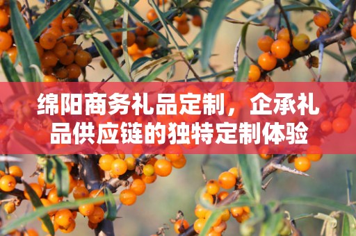绵阳商务礼品定制，企承礼品供应链的独特定制体验
