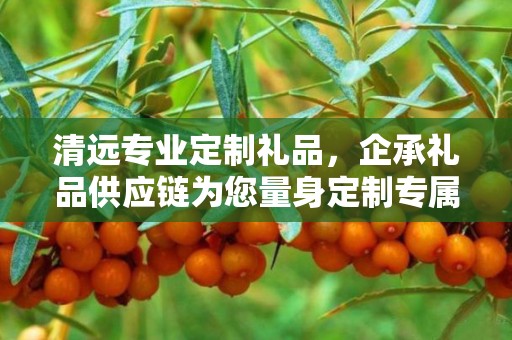 清远专业定制礼品，企承礼品供应链为您量身定制专属礼品