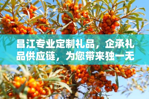 昌江专业定制礼品，企承礼品供应链，为您带来独一无二的礼品定制体验